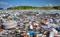 Zanieczyszczenie plastikiem oznacza wymarcie: