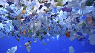 Globalna produkcja plastiku rośnie wykładniczo